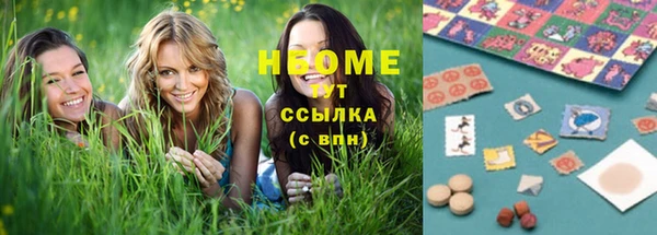 стафф Алзамай