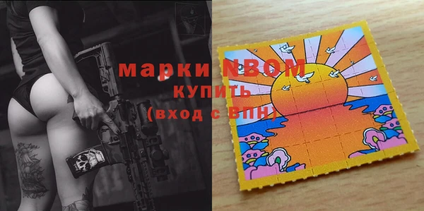 хмурый Алексин