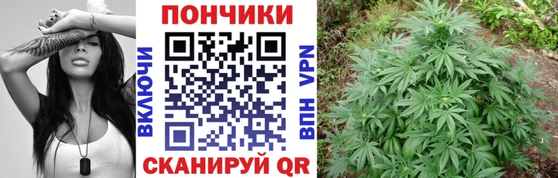 OMG ссылки  Камбарка  мориарти официальный сайт  Бошки Шишки THC 21% 